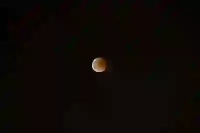 갤럭시S21과 S21 울트라 자급제 카메라 가격 비교 알아보자