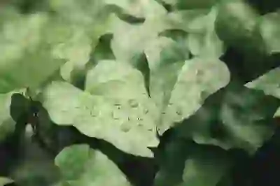 샤오미 M40 물걸레청소기로 집안 청소 효율 높이는 방법 알아보자