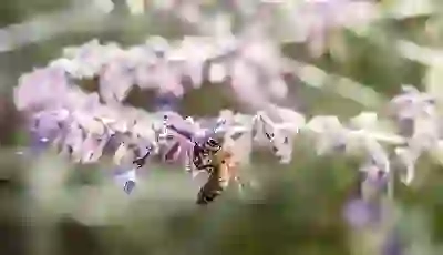 소형 전자레인지 선택 시 고려해야 할 3가지 요소 알아보자