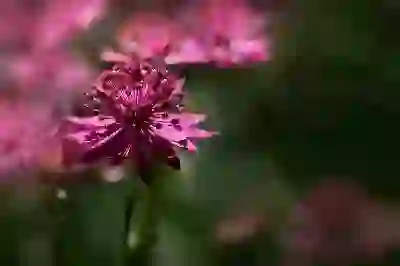 아이폰 대용량 보조 배터리 선택 시 알아둬야 할 4가지 포인트