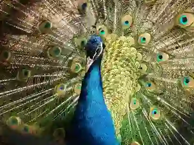 아이폰 배터리 교체 비용과 성능 잔량 표시 알아보자