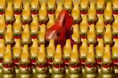 아이폰13 프로 시에라블루와 골드 모델의 스펙 및 방수 기능 알아보자