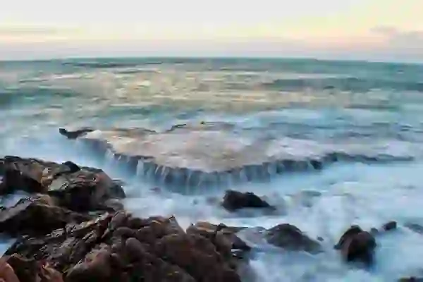 아이폰8 플러스 카메라 로즈골드 사이즈 비교해 보니