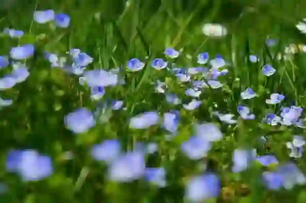 에어팟 프로2 연결 초기화 페어링 리셋 아이폰 연결안됨 해결