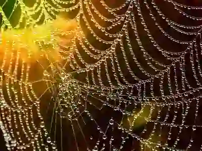 크롬과 엣지를 기본 브라우저로 설정하는 간단한 방법 알아보자