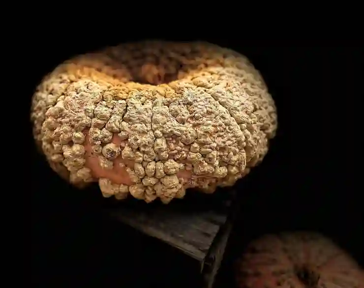 윈도우10 배경화면 윈도우바탕화면 변경 가이드