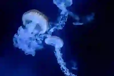 고프로 히어로12로 완벽한 브이로그 촬영하는 꿀팁