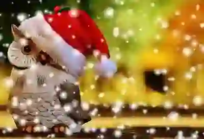 현대 디올뉴 싼타페 MX5의 연비와 색상 특징 살펴보기