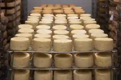 아이클라우드로 사진 백업하는 4가지 방법 알아보자