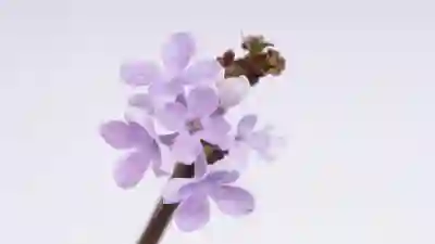 SD 카드와 SD 메모리 카드 리더기 사용법 알아보자