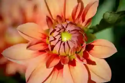 갤럭시 스토어 첫 결제 더블업 혜택 활용법 알아보자