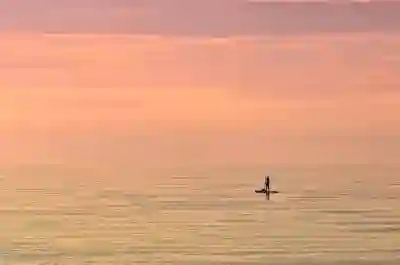 근로자의 날 기념 실용적인 직원 선물 아이디어 살펴보기