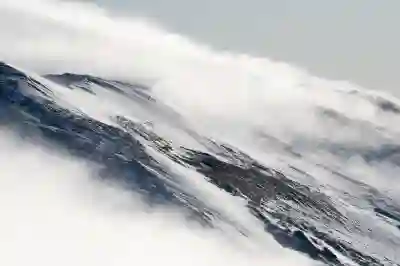 네이버 마이박스 클라우드 사진 관리 꿀팁 알아보자