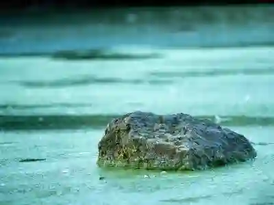 브이로그 촬영을 위한 4K 고프로 액션캠 추천