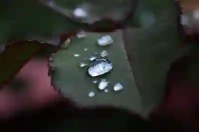 샤오미 M30S 물걸레청소기 추천 및 사용법 알아보자