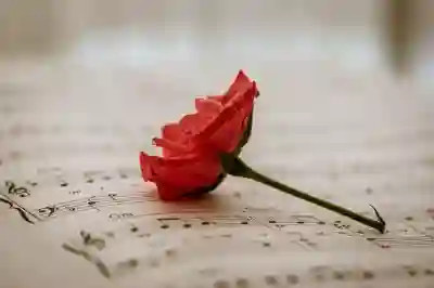 애플뮤직 6개월 무료 구독취소 방법 살펴보기