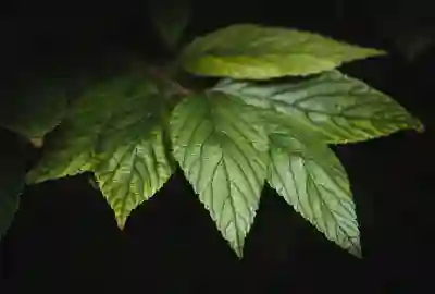 파일질라 FTP 서버 설치와 방화벽 설정 알아보자