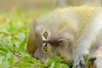 초고속 인터넷 가입 조건과 절차를 알아보자