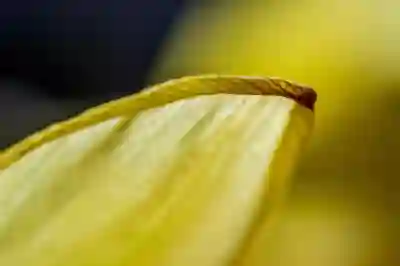 네이버톡톡 블로그 연결 방법 알아보자