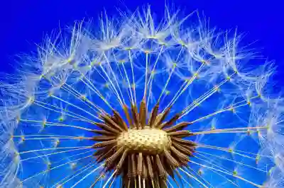 목포에서 음주운전과 뺑소니 사건 해결하는 방법 알아보자