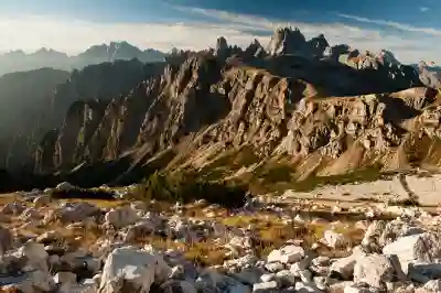 리디잇 치약으로 치석과 균반을 예방하는 4가지 방법 알아보자