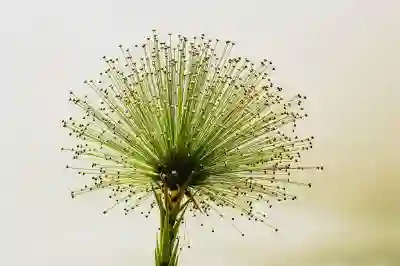 리디잇 잇몸치약으로 구강 건강 지키는 방법 살펴보자