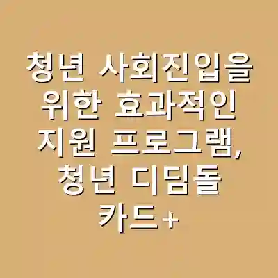 청년 사회진입을 위한 효과적인 지원 프로그램, 청년 디딤돌 카드+